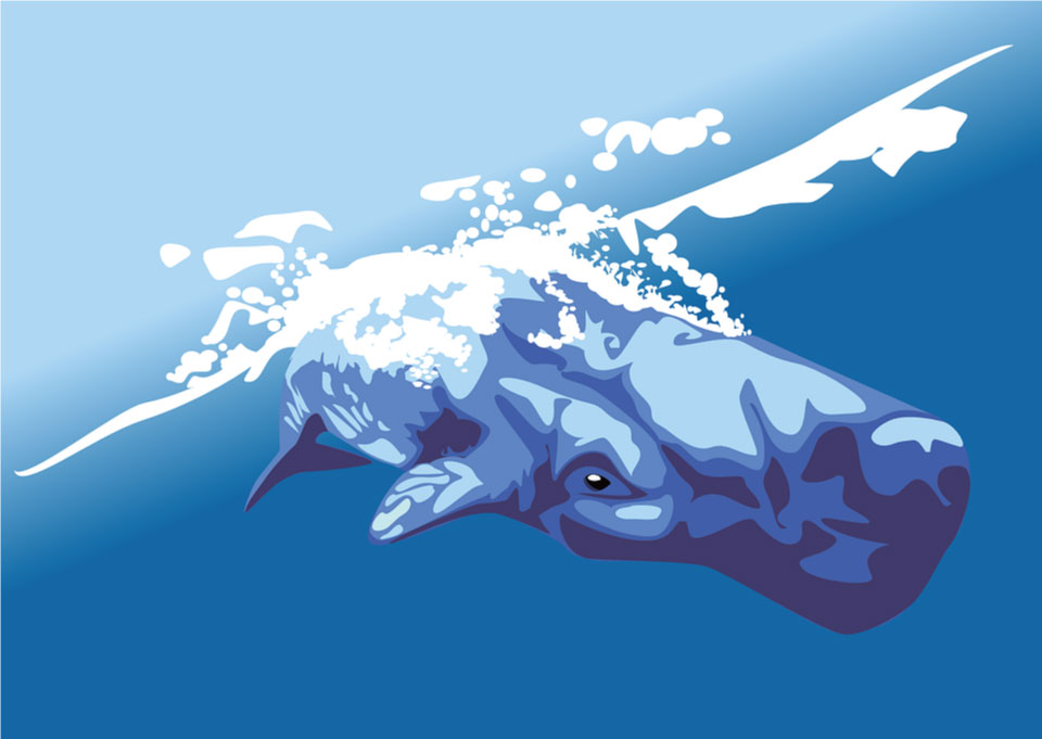 クジラの画像